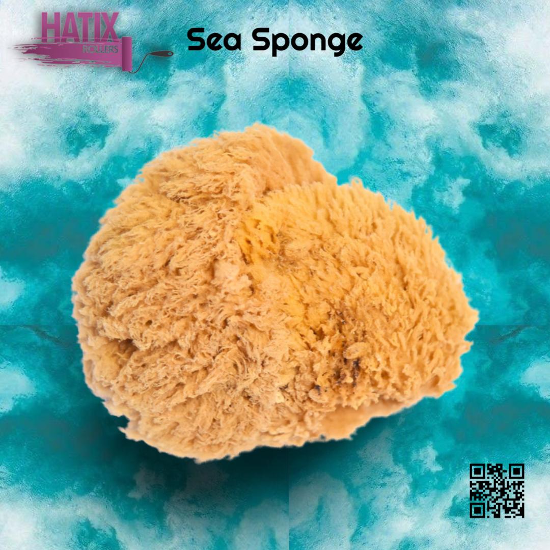 SEA SPONGE